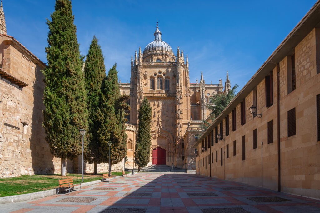 South Door at Salamanca Cathedral - Salamanca, Spain